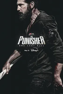 惩罚者：最后一击 The Punisher: One Last Kill